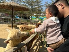 -盈香心动乐园