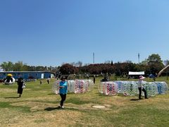 -武汉紫薇都市田园