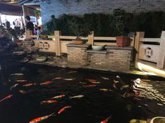 -顺德了能馆(虎门店)