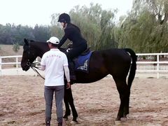 -月河湾马术俱乐部(朝阳店)