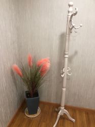 -苗苗清肤皮肤护理中心