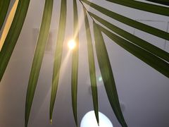 -莲之花口腔(越秀财富广场店)