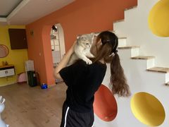 -Bastet sally猫舍购宠(静安店)