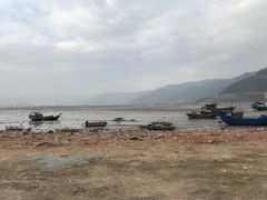 -北岐滩涂