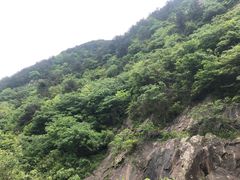 -武汉姚家山旅游景区