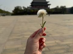 -天津妈祖文化园