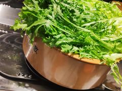 苦菊-龍歌自助小火锅(市南金茂湾店)