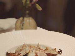 -蝶舍·MAISON PAPILLON