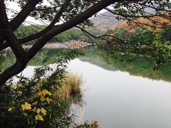 -白马涧龙池景区