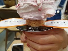 -野人先生现做冰淇淋(西安赛格店)