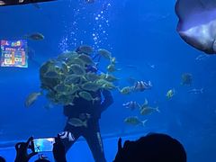 -左海海底世界