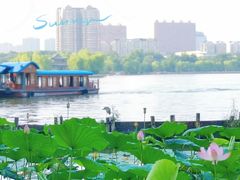 -济南大明湖景区