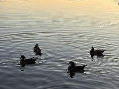 -西湖文化广场