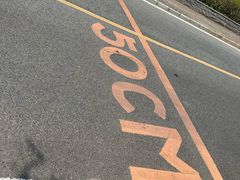 -大亚湾红树林城市湿地公园