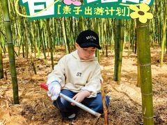-同里国家湿地公园