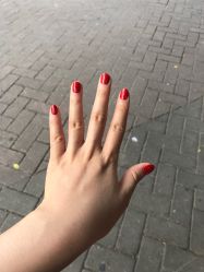 -艾妮世家