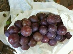 -马陆小张葡萄园农家乐