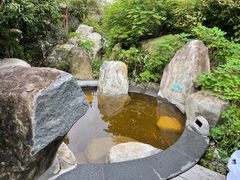 -溧阳天目湖天沐温泉