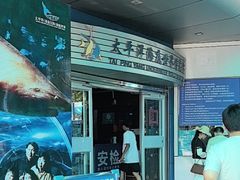 -太平洋海底世界