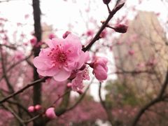 -罍+村卤菜摊(罍街店)