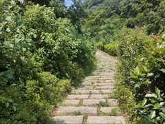 -桃花岭景区