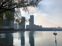 -天鹅湖体育公园