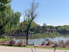 -上海鲜花港