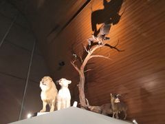 -贝林大翅鲸简餐厅(国家海洋博物馆店)