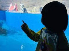 -秦皇岛新澳海底世界