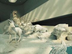 -中国湿地博物馆