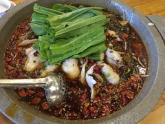 -都江堰石锅鱼