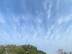 -玉树公园