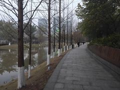 -沐仙湖湿地公园