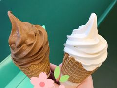 牛乳冰淇淋-CHOCHENG&CO.(欢乐海岸店)