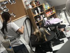 -Oh My Dog宠物沙龙(伊珊娜皮毛护理店)