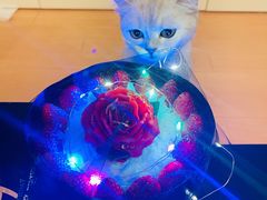 -牛角村(大族广场店)