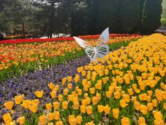 -石家庄市植物园