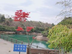 -军营村