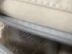 -瑞派宠物医院·24h·骨外科·皮肤科·全科宠物医疗转诊中心(沈阳浑南院)