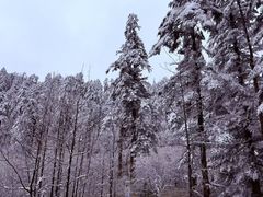 -海螺沟风景区