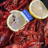 会喝花雕酒的小龙虾？！