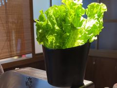 -九田家黑牛烤肉料理(新辰里亚运村店)
