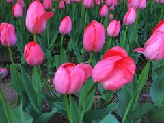 -长春公园(普阳街道)