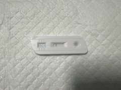 -瑞派福兴宠物医院犬猫全科·骨科·中西医结合(河东店)