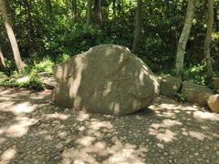 -上海佘山国家森林公园天马山园