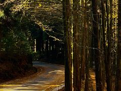 -山王坪喀斯特国家生态公园
