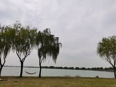 -漕湖湿地公园