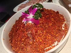 -小龙坎火锅(春熙太古里店)