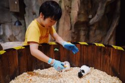 -宝燕乐园(闵行旗舰店)