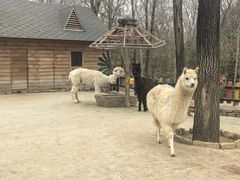 -竹泉村旅游度假区